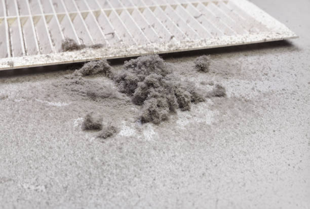Best Ductwork Cleaning Services  in Chepachet, RI
